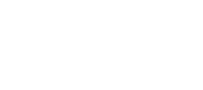 bidlead